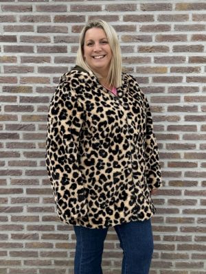  kaki leo