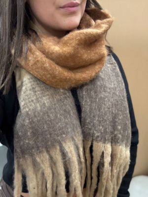  camel:brun