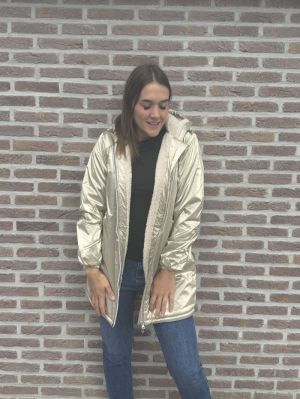  CHAMP/GOLD